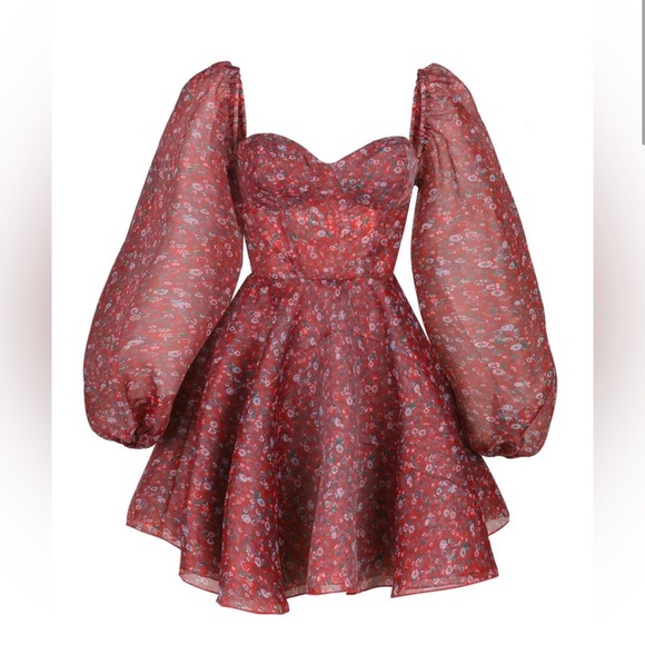 SOLD - NWT Selkie Crimson Princess Dress - Picture 2 of 8